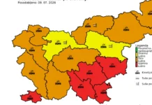 Suša: Rdeči alarm za jugovzhodno Slovenijo in Posavje