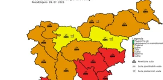 Suša: Rdeči alarm za jugovzhodno Slovenijo in Posavje