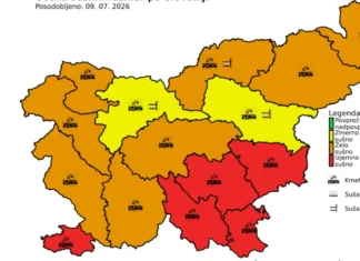 Suša: Rdeči alarm za jugovzhodno Slovenijo in Posavje