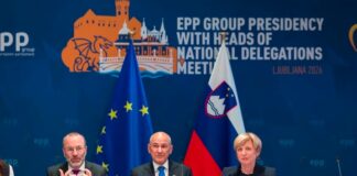Romana Tomc: “Ta teden se za delegacijo SDS v Evropskem parlamentu ni zaključil dobro. Izgubili smo enega poslanca”