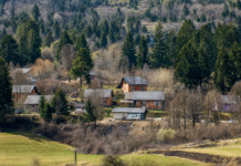 Novo mesto: V romskem naselju odstranili na črno zgrajen objekt