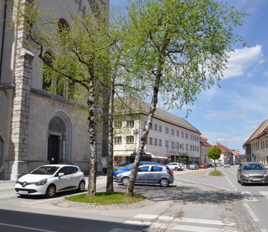 Ministrstvo objavilo predloge trase dolgo pričakovane ribniške obvoznice