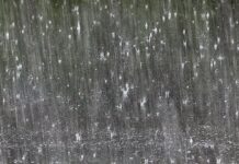 Suša na jugovzhodu vztraja: kje je padlo najmanj dežja?
