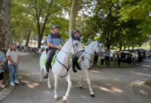 Pred drugim rokom za vpis na Višjo policijsko šolo pripravljajo dan odprtih vrat v Tacnu