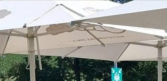 Poslanec SD takole nemarno sedel za mizo, namenjeno tudi postrežbi hrane