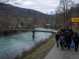 Migranti: “Včasih so se še malo skrivali, zdaj so agresivni in gospodovalni že takoj po prihodu”