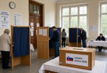 Lokalne volitve: Začenja se zbiranje podpisov podpore za kandidate