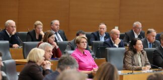 Državni zbor odredil parlamentarno preiskavo o energetiki in financiranju nevladnih organizacij