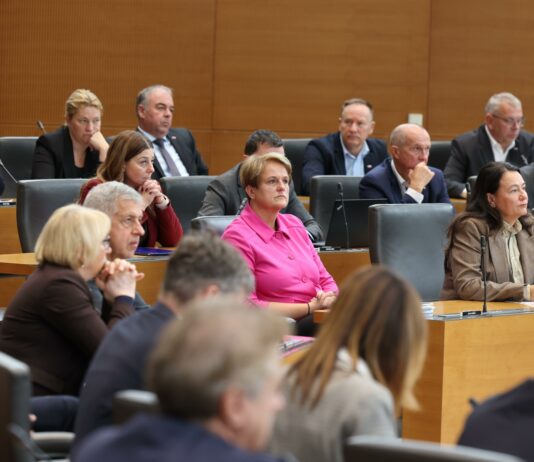 Državni zbor odredil parlamentarno preiskavo o energetiki in financiranju nevladnih organizacij