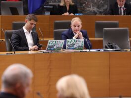 Kaj razvojni zakon pomeni za en dan ene slovenske družine in za gospodarstvo