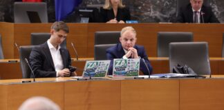 Kaj razvojni zakon pomeni za en dan ene slovenske družine in za gospodarstvo