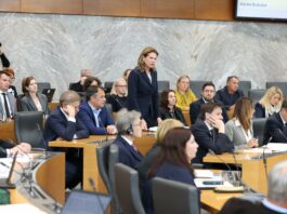 Državni zbor odredil preiskavo o zlorabi obveščevalnih služb in vplivu na volitve