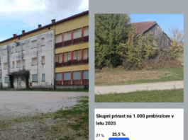 Romana Husič: Občina Črnomelj izgublja prebivalce – kakšna bo čez 10 ali 20 let?