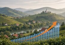 V Jugovzhodni Sloveniji skoraj 50-odstotna rast števila državljanov tretjih držav