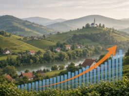 V Jugovzhodni Sloveniji skoraj 50-odstotna rast števila državljanov tretjih držav