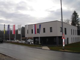 Varnostnik ju je zalotil pri kraji otroškega avtomobila, zato sta ga poškropila s solzivcem