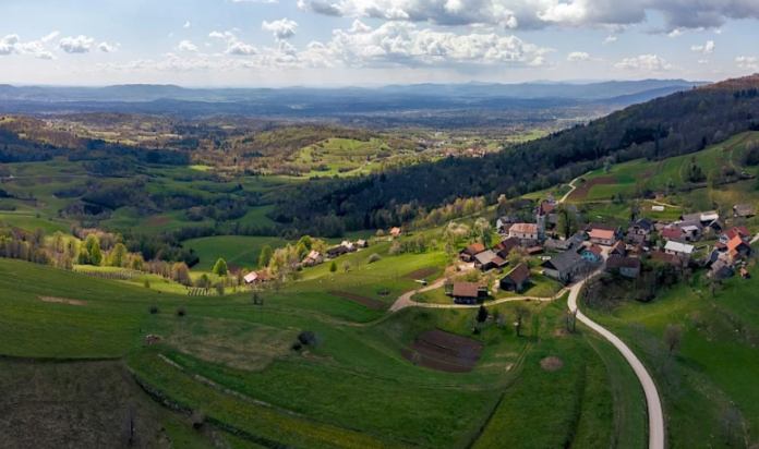 Brezova reber